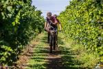 11° MTB Tra le Vigne del Ponte